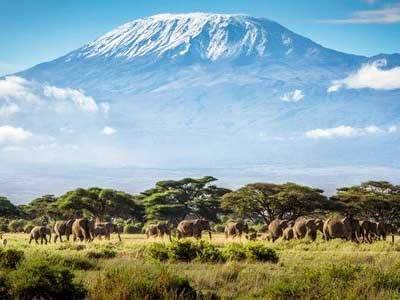 Monte-Kilimanjaro Trekking Kilimanjaro