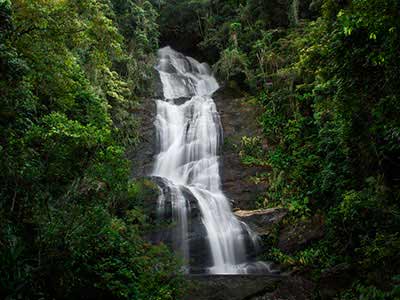 Jeep Tour Floresta da Tijuca (9)
