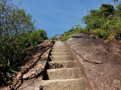 Sendero Pico de Tijuca 2