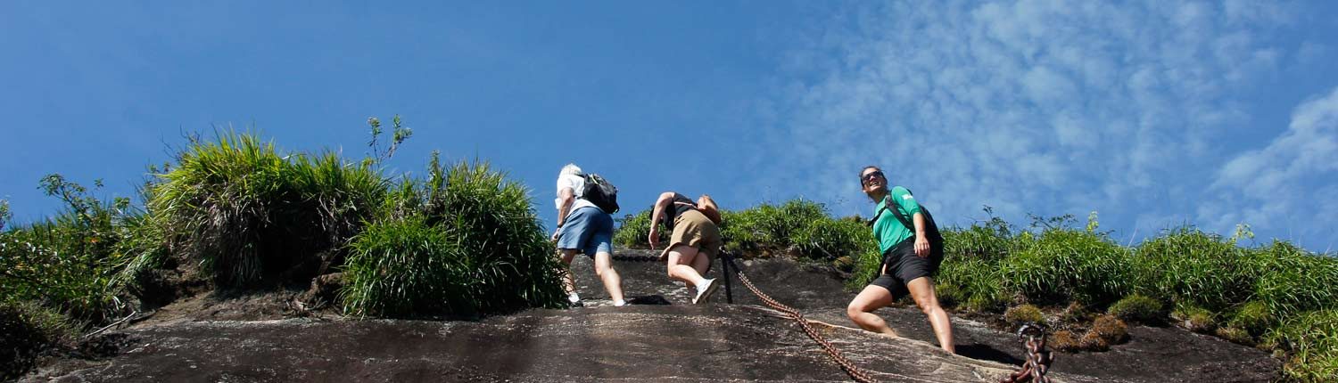 Trilha Pico da Tijuca
