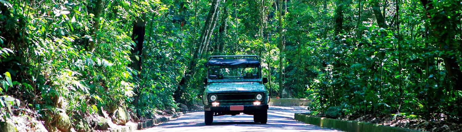Paseo de Jeep Floresta de Tijuca Cover 1