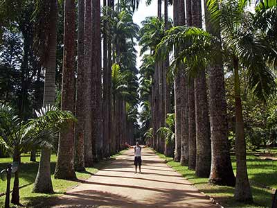 Jeep Tour in Rio de Janeiro 07