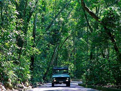 Jeep Tour in Rio de Janeiro 09