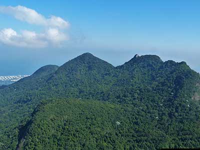 Tijuca Peak Hike 3