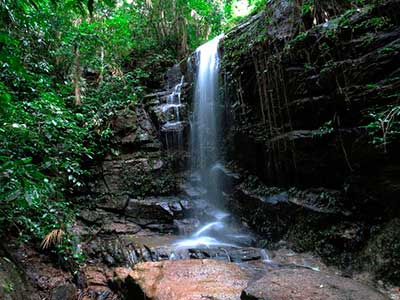 Rappel in Tijuca Forest 12
