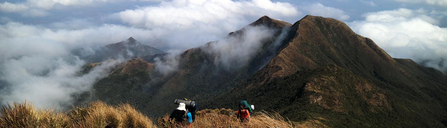 Trekking Brasil