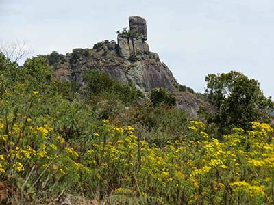 Três Picos 5