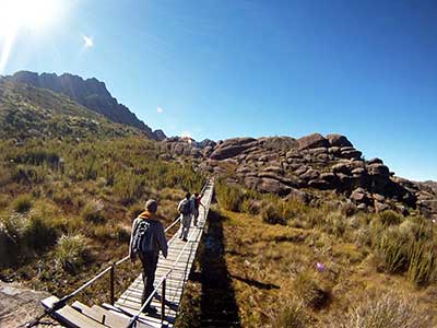 Pico das Agulhas Negras 05