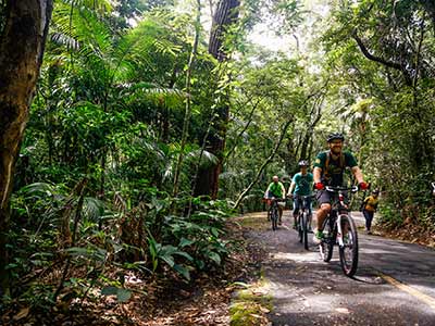 Mountain Bike Floresta da Tijuca 15