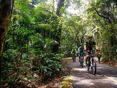 Mountain Bike Parque Nacional da Tijuca (5)