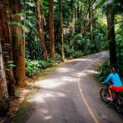Mountain Bike Floresta da Tijuca Completo