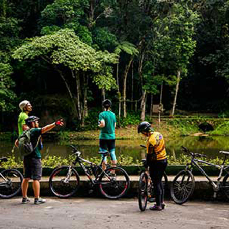 Mountain Bike Floresta da Tijuca Completo