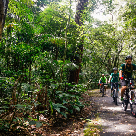 Mountain Bike Parque Nacional da Tijuca