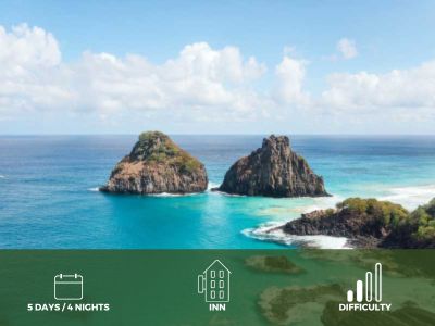 Package for Fernando de Noronha