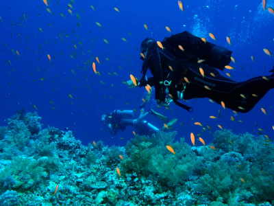 Pacote Para Fernando de Noronha