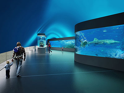 Boulevard Olímpico - Passeio Museu do Amanhã e AquaRio - Nattrip (1)