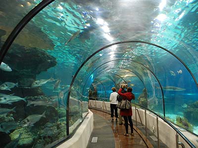 Boulevard Olímpico - Passeio Museu do Amanhã e AquaRio - Nattrip (5)