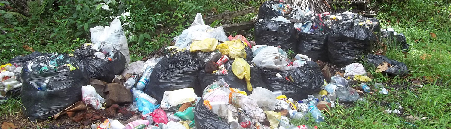 Ecoturismo é Mínimo Impacto