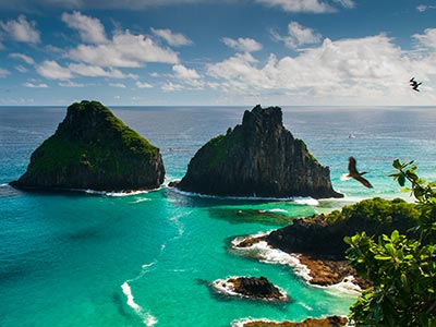 Viagem para Fernando de Noronha Viagem para Fernando de Noronha