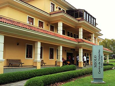 Passeio Vale dos Vinhedos
