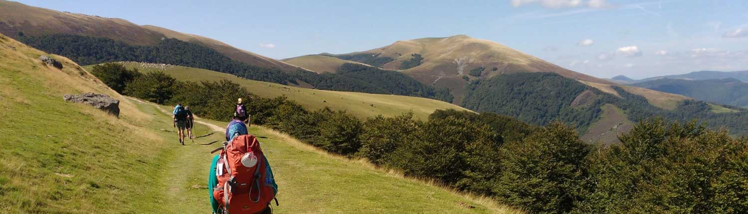 caminho de santiago de compostela wide 1