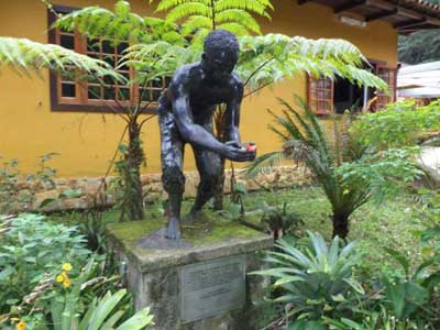 Trilha Floresta da Tijuca