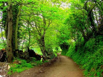 Sarria - Santiago de Compostela