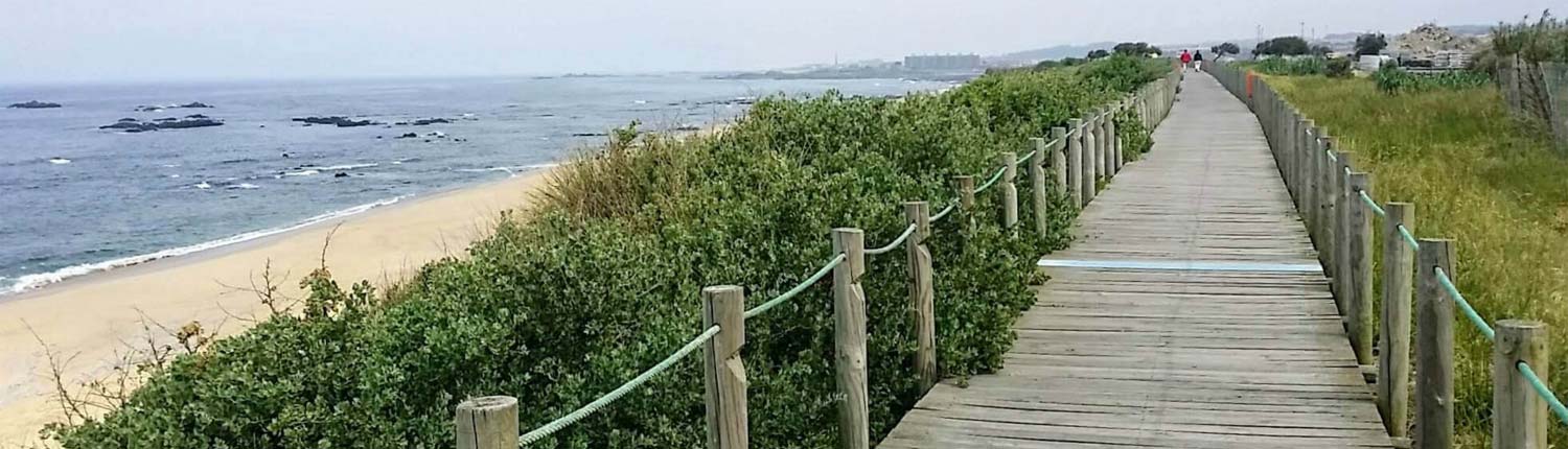Caminho Português para Santiago de Compostela - wide