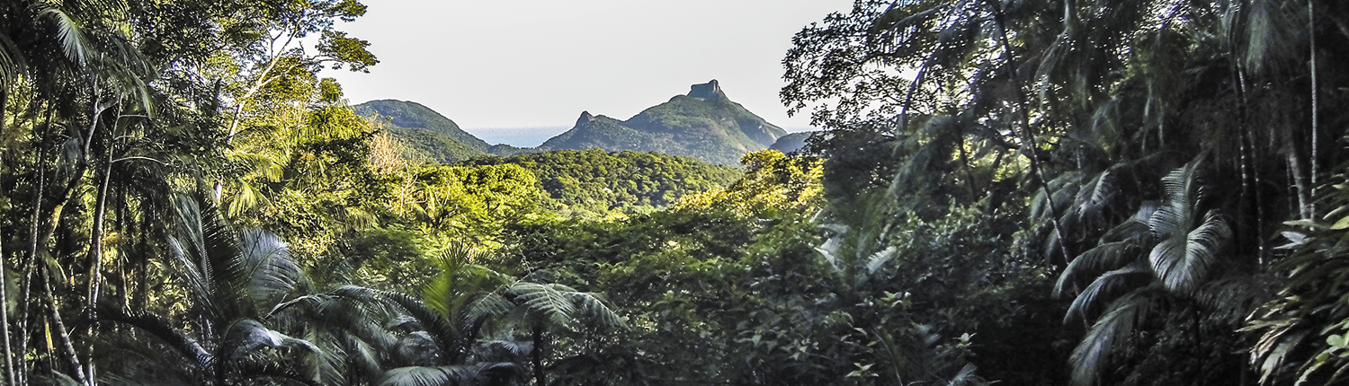 o que fazer no rio de janeiro nublado