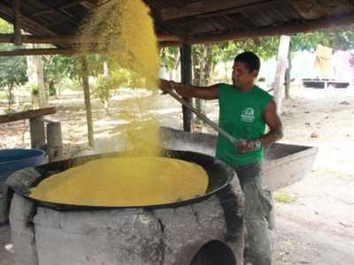 PACKAGE AMAZON RAINFOREST SUSTAINABLE EXPERIENCE 