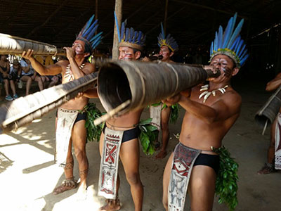 Viagem para Amazônia Viagem para Amazônia