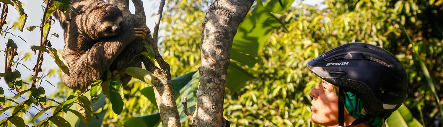 Brazil Wildlife Tours 1