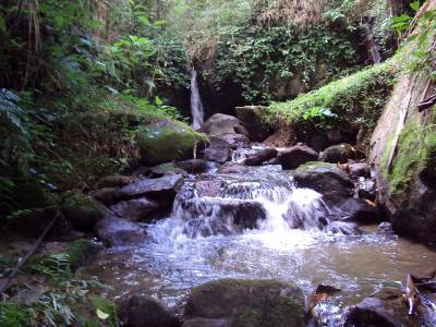 pedra aguda 10