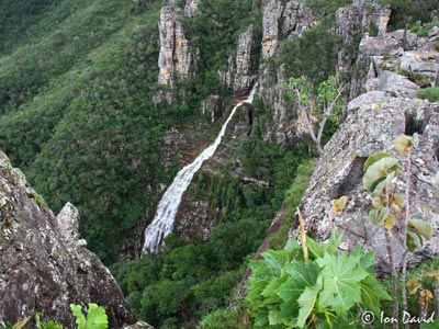 Travessia Leste Chapada dos Veadeiros 15