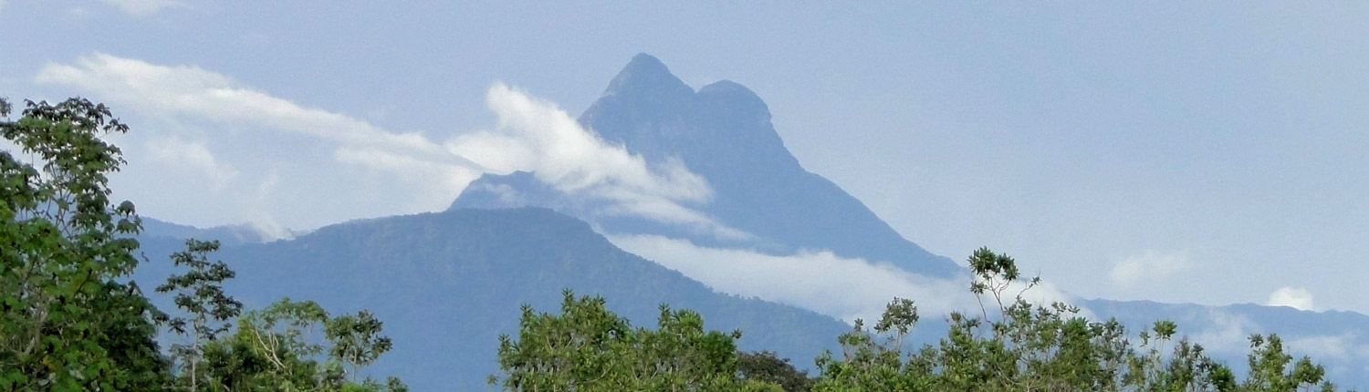 Pico da Neblina trekking
