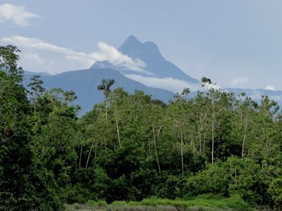 pico da neblina