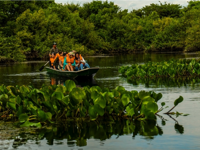 PACKAGE RIO FOZ AND PANTANAL