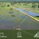 PAQUETE AL PANTANAL