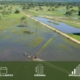 Pacote de Viagem para o Pantanal