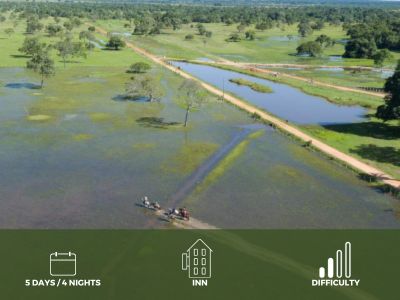 Package to the Pantanal