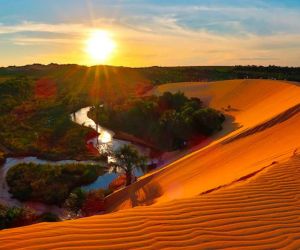 Caatinga