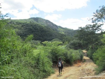 Caatinga