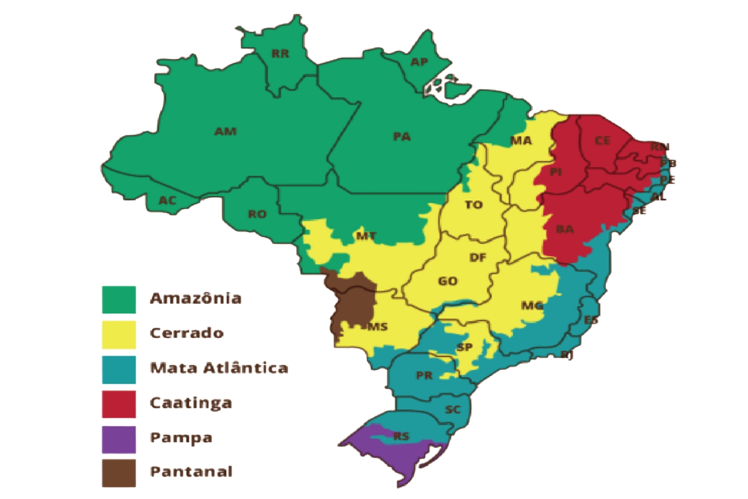 Biomas do Brasil 2 1 scaled